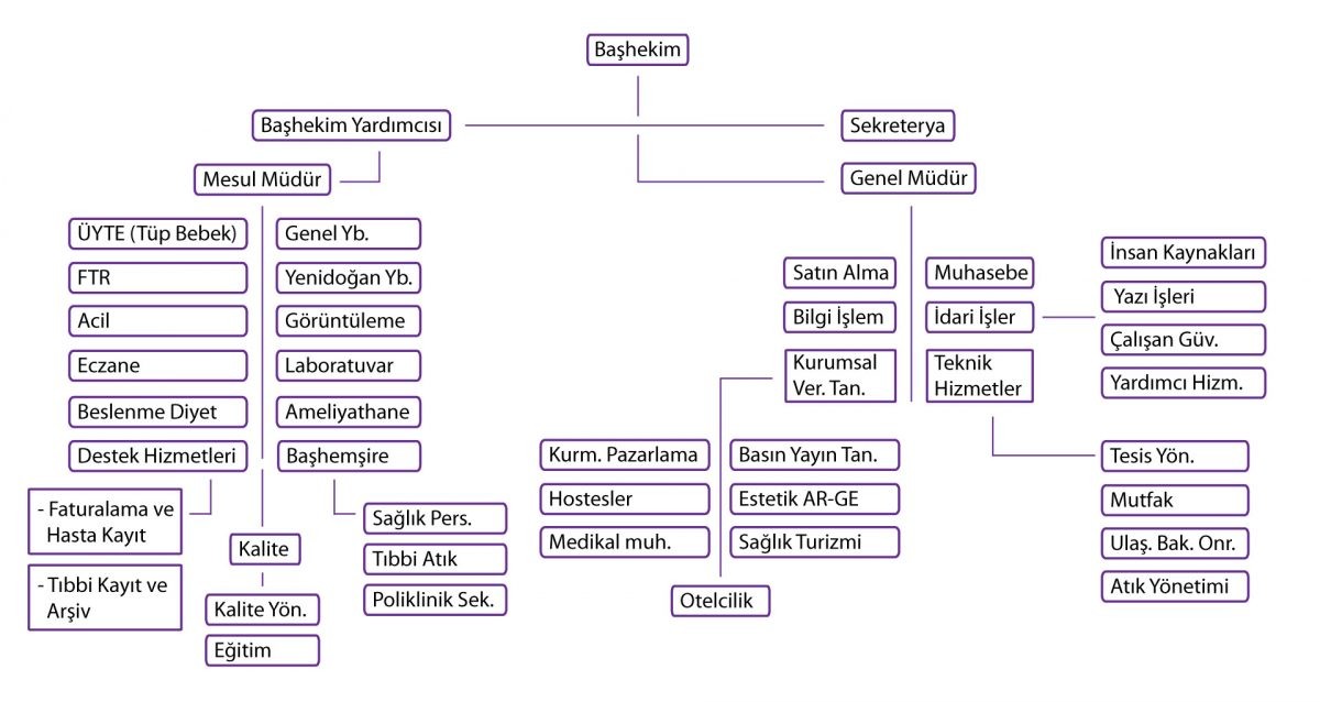 Yönetim Planı